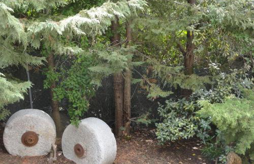 Zeus House Gaia - Foto 41