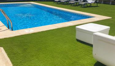 Musa del Paraíso - Foto 5