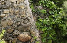 Cortijo Aldamuz-VTAR102 - Foto 23