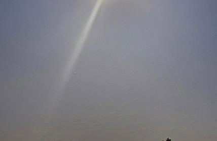 Trees of Heaven - Olive House - Foto 11