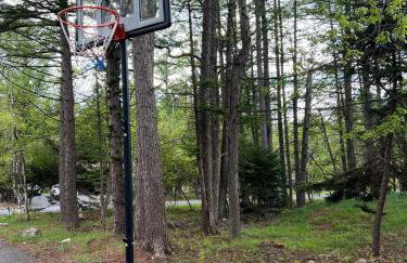 Evergreen Escapes 4 BR with Game Room, Firepit near Kalahari and Camelback - Foto 55