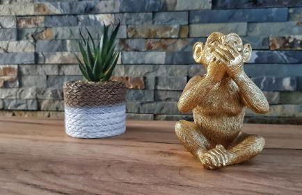 Disneyland Expérience !! - Foto 18