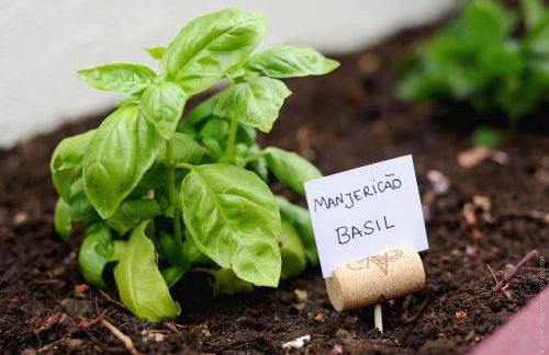 Apartamento Quinta do Faial - Foto 44