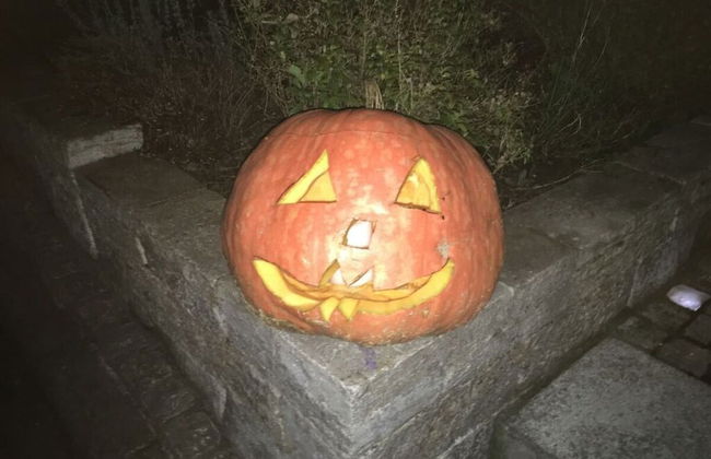 Apartment in Tauberbischofsheim - Foto 17