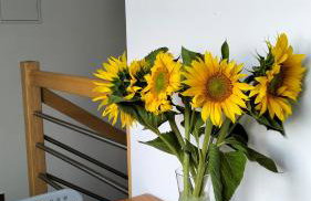 Sielska Dolina pod Ślężą - Foto 3