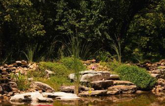 Luxury Estate on 10 Acres - Foto 56