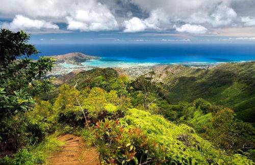 36Fl with Ocean View, Mins to Waikiki Beach, Parking - Foto 140