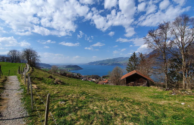 Panoramaferienwohnung Waldkircher - Foto 24