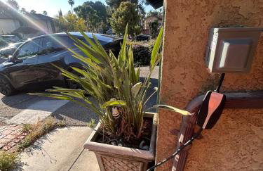 Pet friendly 3BR Spacious Home EV - Foto 6