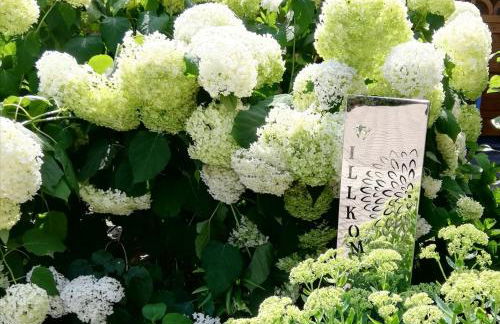 Ferienwohnung Uenglingen - Foto 1