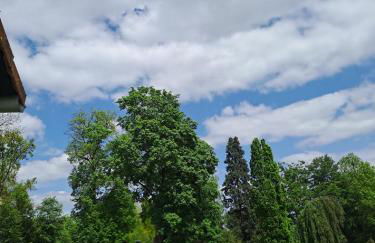 Ferienwohnung Am Schloss - Foto 7