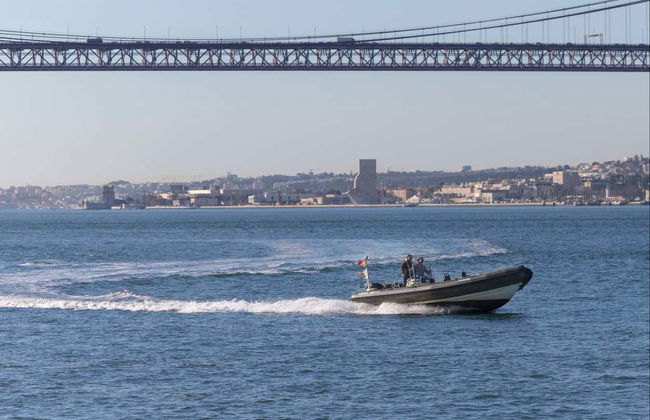 Dolphin Watching Cruise - Photo 8