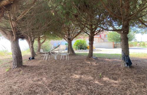 Mas Catalan - Foto 7