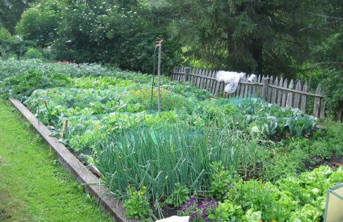 Agriturismo Feur Hof - Photo 12