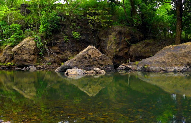 Indira Farms - Foto 24