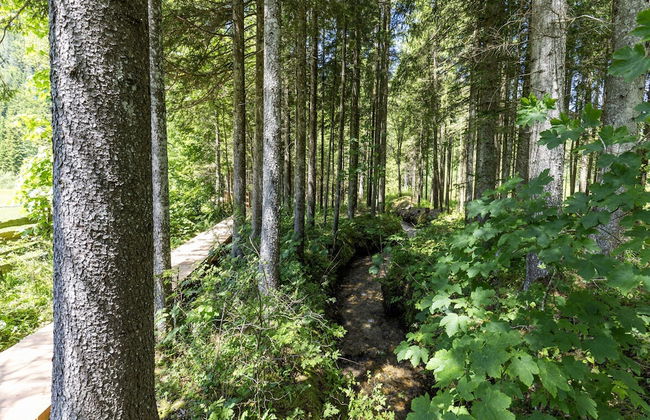 Holiday Home in Ferlach Near Woerthersee - Photo 34