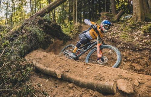 Penestaer - Photo 43