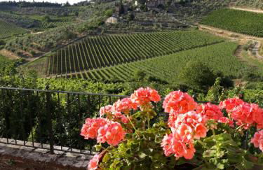 La Vecchia Quercia - Foto 19