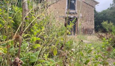 Le petit four à pain - Foto 5