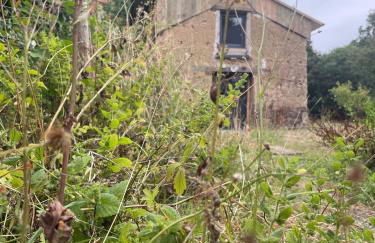 Le petit four à pain - Foto 5