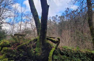 CHALÉ, Pedra, Isolada, Natureza, Rio - Ecoturismo - Foto 9