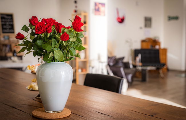 Al Tirabusòn Countryhouse - Foto 55