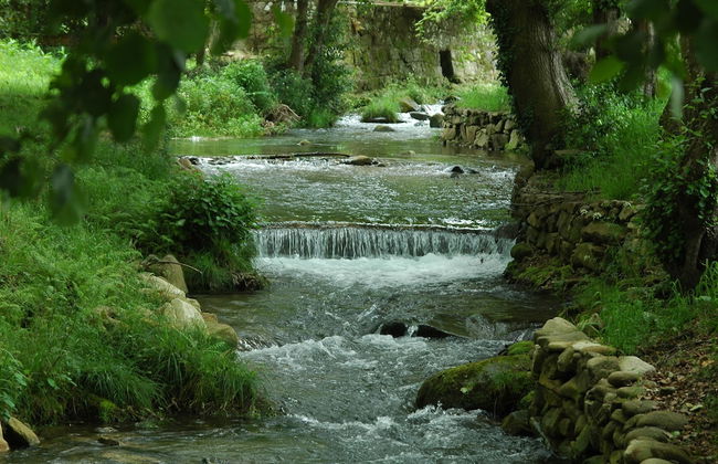 Os Migueliños - Foto 18