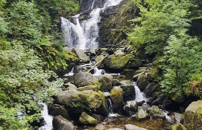 Wild Atlantic Apartments Killarney - Foto 44