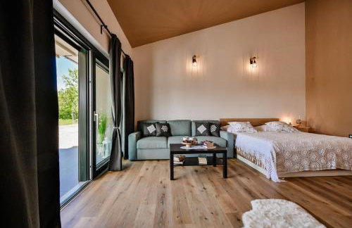 Villa Škavre by IstriaLux - Foto 6