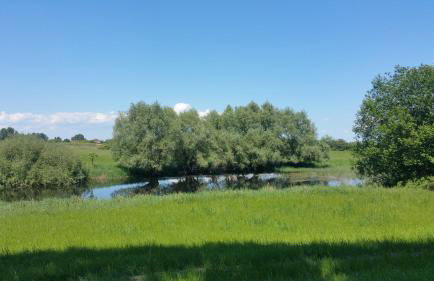 Haus an der Pferdekoppel am Blankenburger See - Photo 27