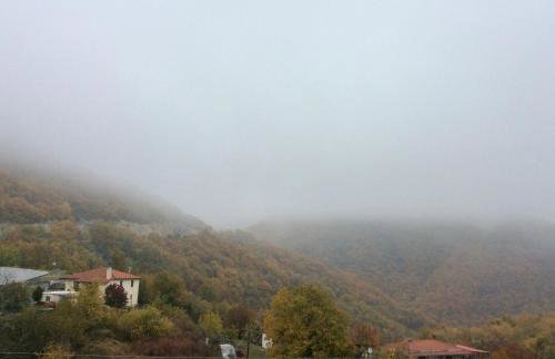 Petrini Gonia - Foto 43