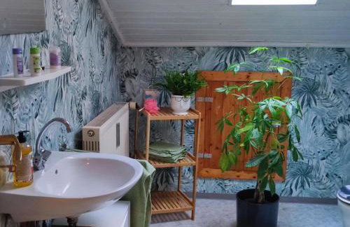 Helga's Candy Ranch - Foto 8