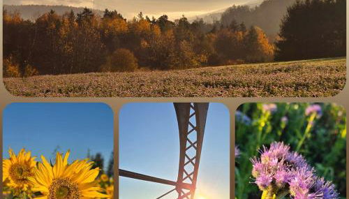 Ferienwohnung Schneeberg - Foto 3