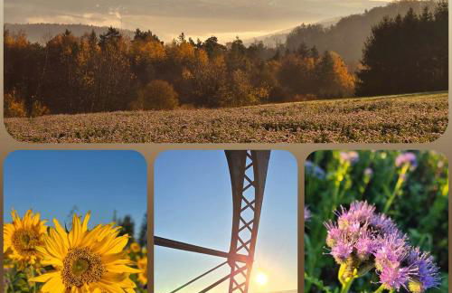 Ferienwohnung Schneeberg - Foto 3