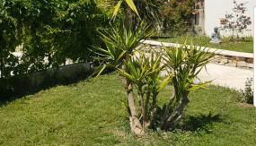 Magnifique villa de charme avec piscine - Foto 5