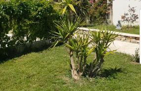 Magnifique villa de charme avec piscine - Foto 5