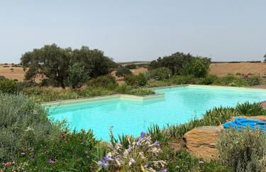 Agroturismo Xistos - Foto 48