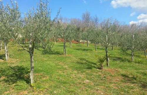 Villa Lara - Foto 62