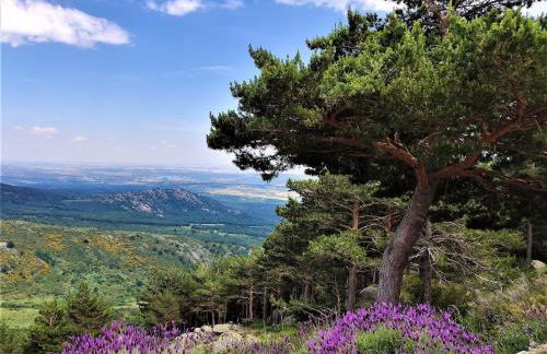 Villa Carmen del Rosal - Foto 27