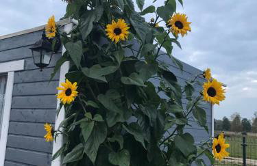 Dzika Plaża Wierzchucino - Foto 14