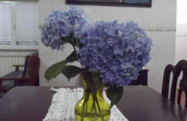 Quinta do Pina - Foto 10