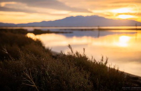 Le Mas aux Amoureux , Suite Romantique et Spa - Foto 32