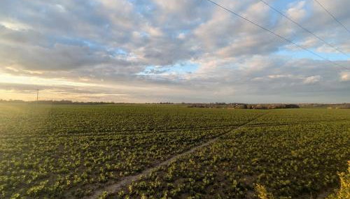 The Tin Barn With Private Hot Tub - Foto 4