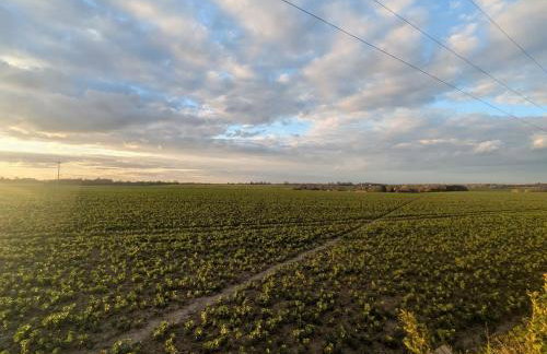 The Tin Barn With Private Hot Tub - Foto 4