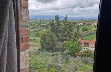 Sunflower Apartment - Foto 5