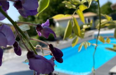 Les Rives des Habsbourg - Foto 14