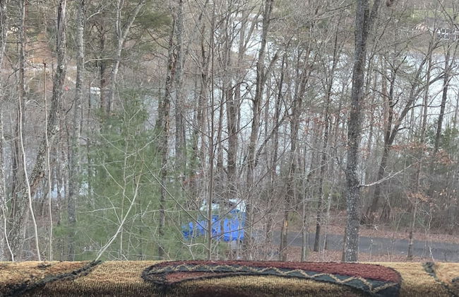 Mountain of Dreams At Lavista Cove - Foto 6