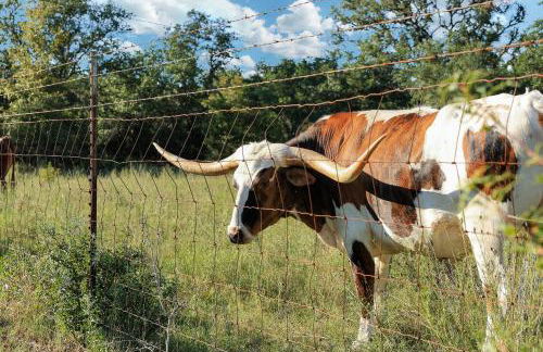 Box 3- A Birdy Vacation Rental - Foto 47