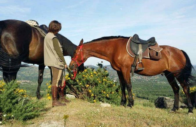 Guadarrama National Park Horse Riding Tour - Photo 5