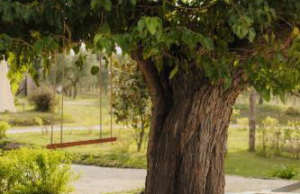 Arcadia Agriturismo - Foto 7